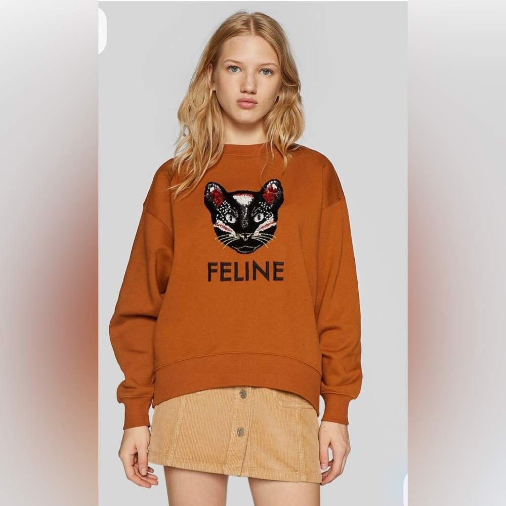 stradivarius Rust Brown "FELINE" Embroidered Cat Sweatshirt